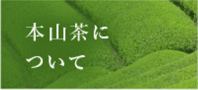 本山茶について